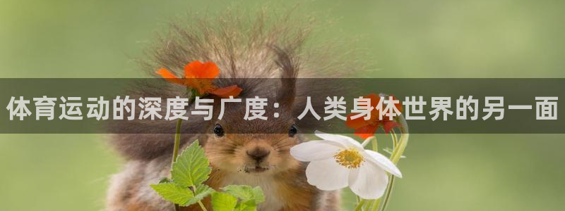 JJB竞技宝官网下载：体育运动的深度与广度：人类身体世界的另