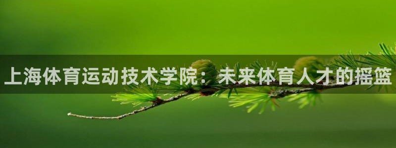 JJB竞技宝官网下载平台假的吗是真的吗吗