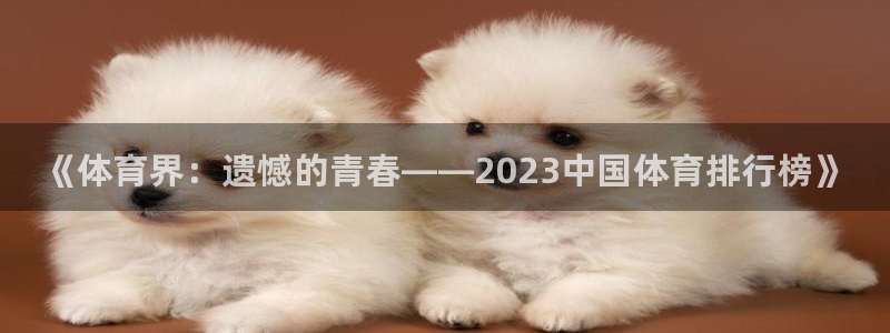JJB竞技宝官网下载平台是正规平台吗：《体育界：遗憾的青春—