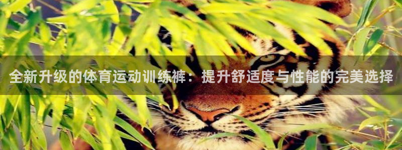 JJB竞技宝官网下载平台APP：全新升级的体育运动训练裤：提