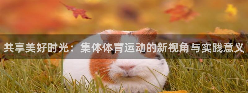 JJB竞技宝官方正版app神州