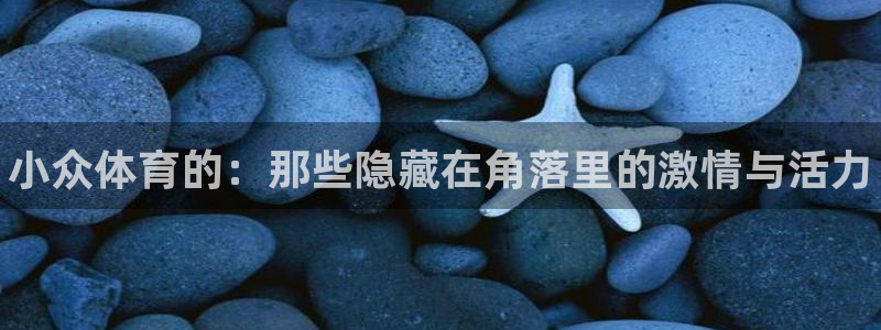 JJB竞技宝官网下载招商电话地址查询：小众体育的：那些隐藏在