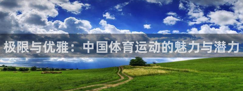 JJB竞技宝官网下载平台注册要钱吗：极限与优雅：中国体育运动