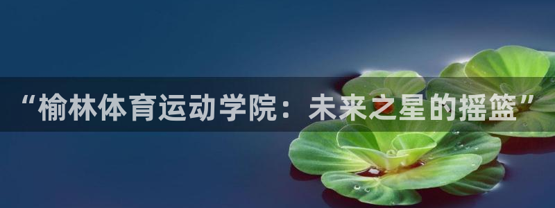 注册JJB竞技宝官方正版app：“榆林体育运动学院：未来之星