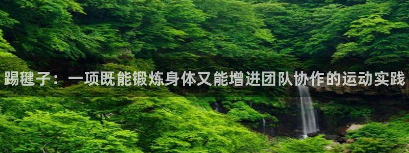 JJB竞技宝官网下载平台APP：踢毽子：一项既能锻炼