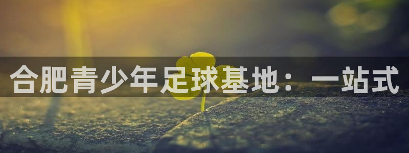 JJB竞技宝官方正版app集团E.ON：合肥青少年足