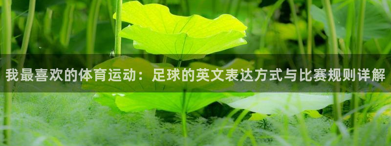 JJB竞技宝官方正版app集团官网首页网址：我最喜欢