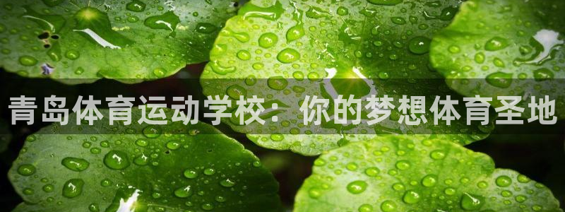 JJB竞技宝官网下载平台注册：青岛体育运动学校：你的