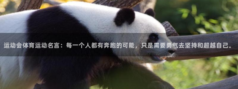 JJB竞技宝官方正版app科技：运动会体育运动名言：