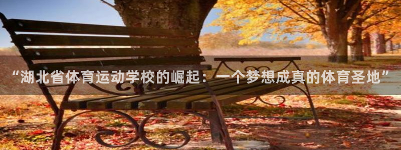 JJB竞技宝官网下载招商电话地址查询：“湖北省体育运