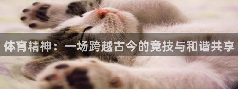JJB竞技宝官方集团官网：体育精神：一场跨越古今的竞