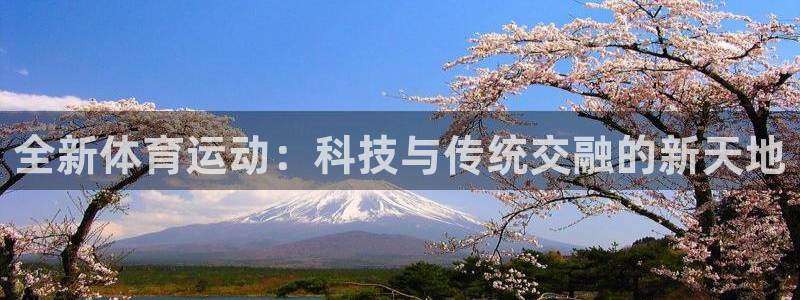 JJB竞技宝官网下载官方客服电话：全新体育运动：科技与传统交