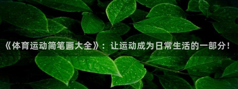 JJB竞技宝官方正版app娱乐下载：《体育运动简笔画大全》：