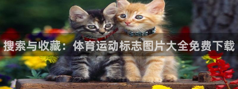 JJB竞技宝官网下载平台注册要钱吗是真的吗：搜索与收藏：体育