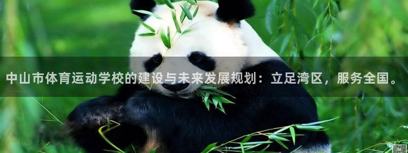 JJB竞技宝官网下载平台注册流程图：中山市体育运动学校的建设