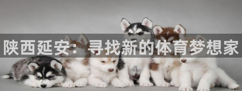 JJB竞技宝官网下载招商电话号码是多少号：陕西延安：寻找新的